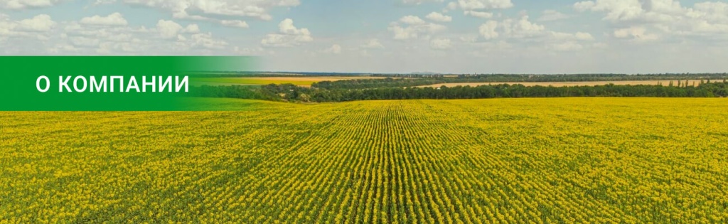о компании 2.jpg
